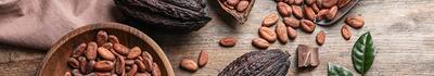 Il cacao fa bene: gli ultimi studi sulle funzioni cognitive