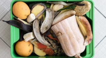 Cucina zero sprechi, con il metodo dei colori non butti più via niente: farai spesa solo una volta al mese