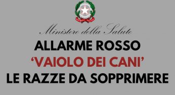 Dovete sopprimere queste razze | Scoppia contagio da “Vaiolo dei cani”: allarme rosso Ministero della Salute