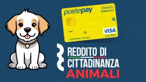 Reddito di cittadinanza animali