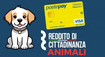 UFFICIALE: ecco il “Reddito di Cittadinanza” per gli animali domestici | Se hai queste razze, hai trovato l’America