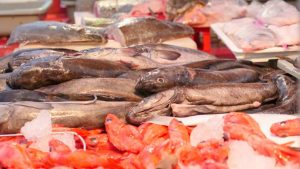 Pescheria