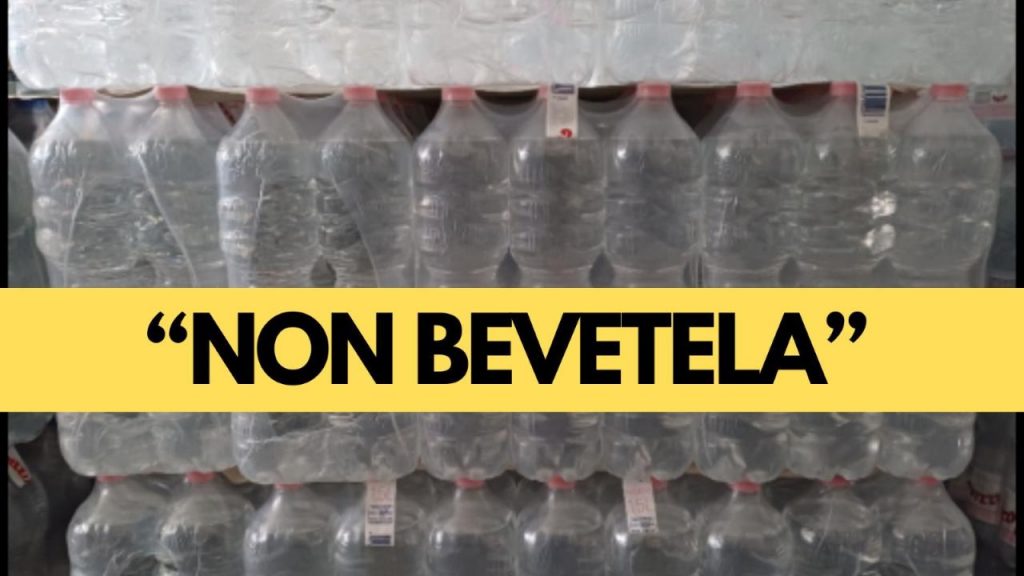 Monito ci non bere
