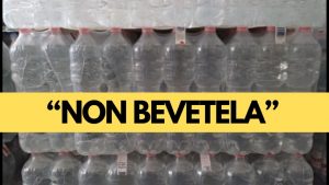 Monito ci non bere