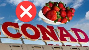Fragole
