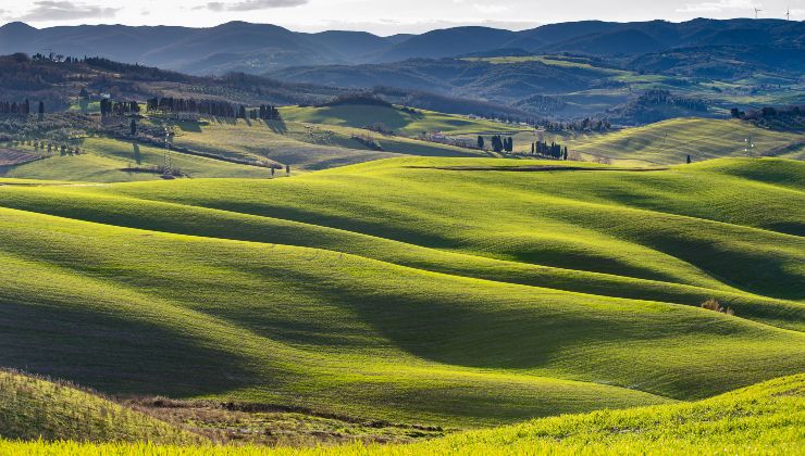 Paesaggio, Lajatico.