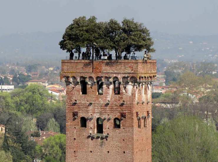 Torre
