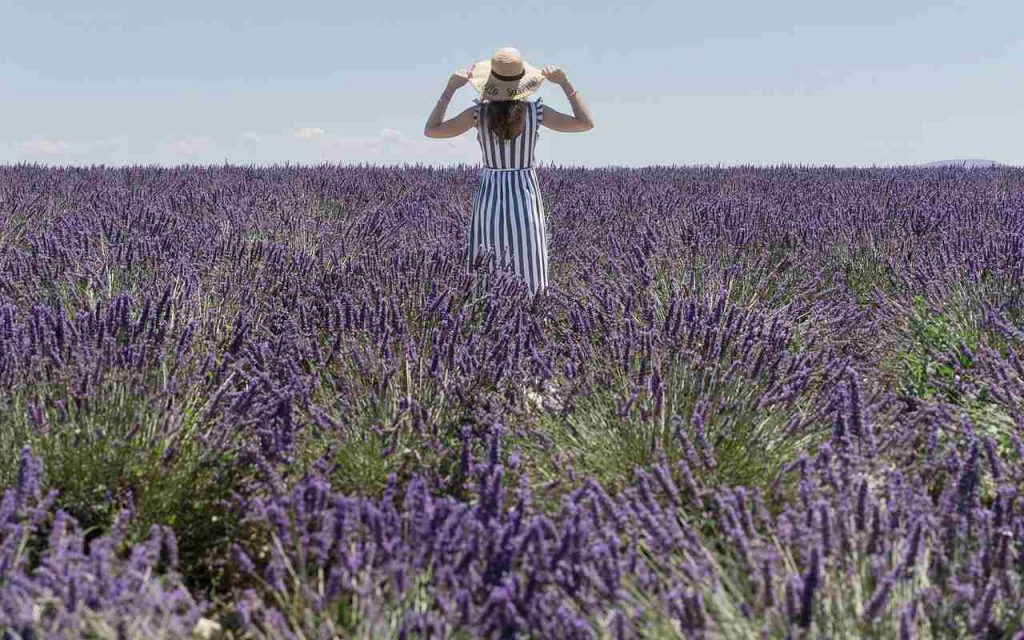 la Provenza toscana