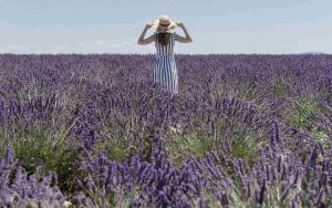 la Provenza toscana