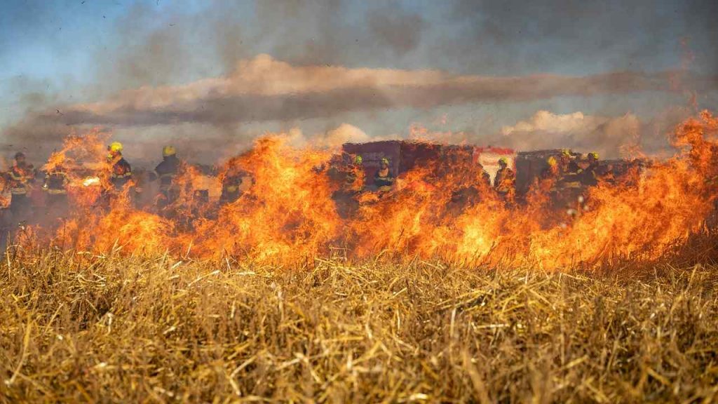 Incendio in un campo