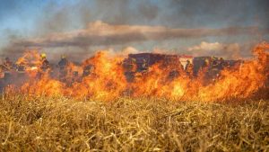 Incendio in un campo