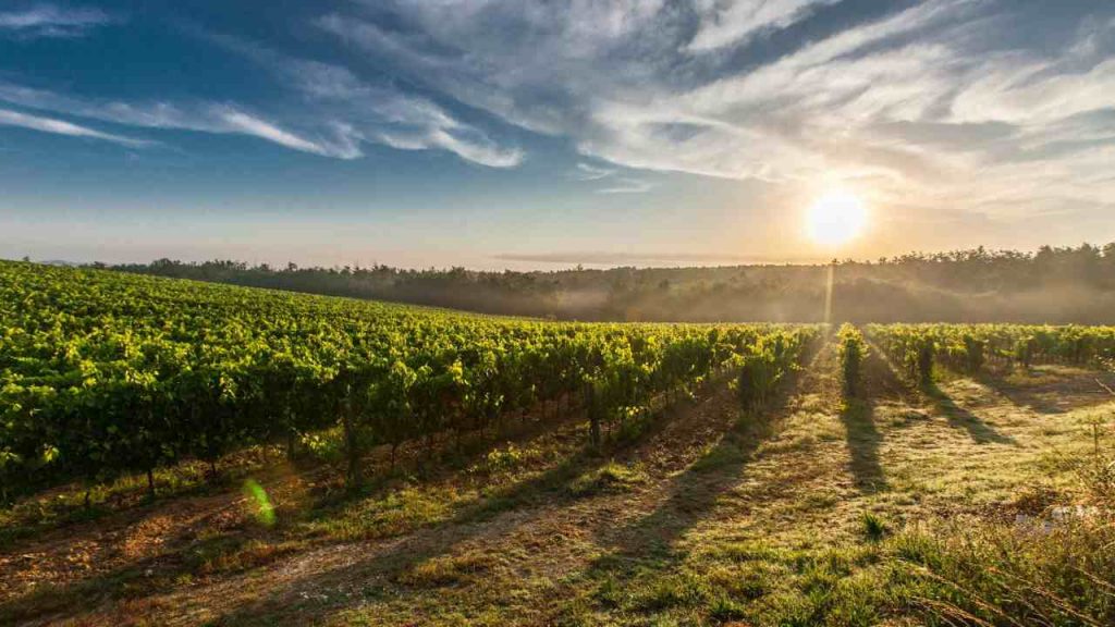 Toscana