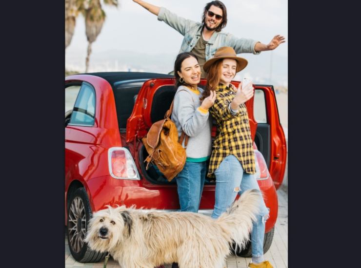 Chi non potrà più viaggiare sul sedile passeggero