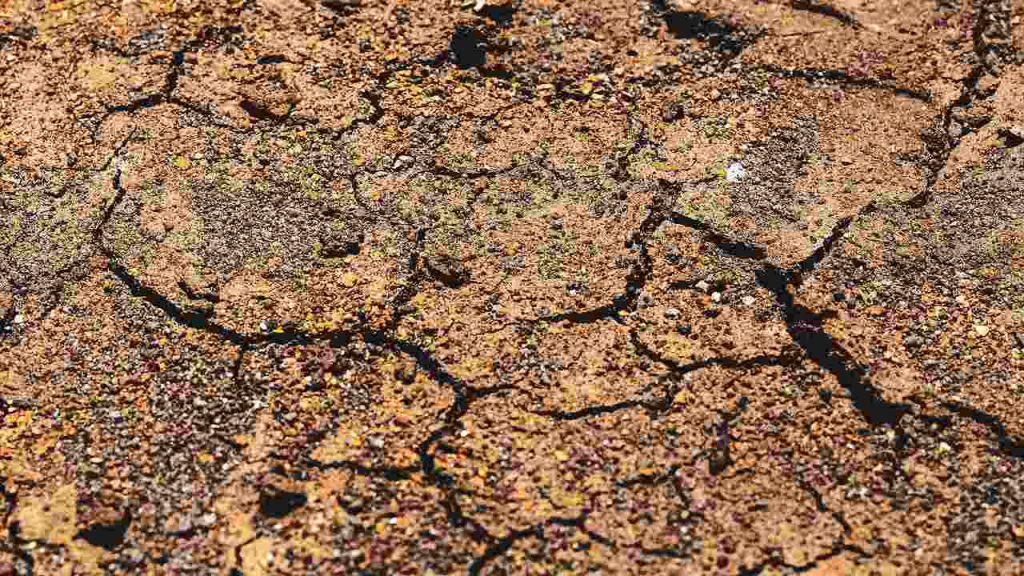 Crepe sul terreno