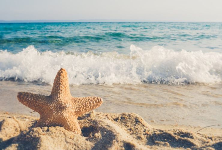Dove andare al mare in Toscana