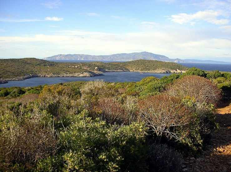 Giannutri 