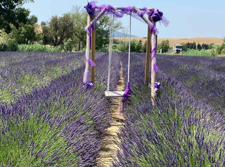 La piccola Provenza della Toscana