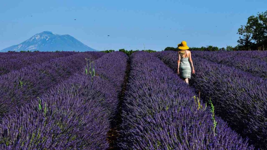 La piccola Provenza italiana