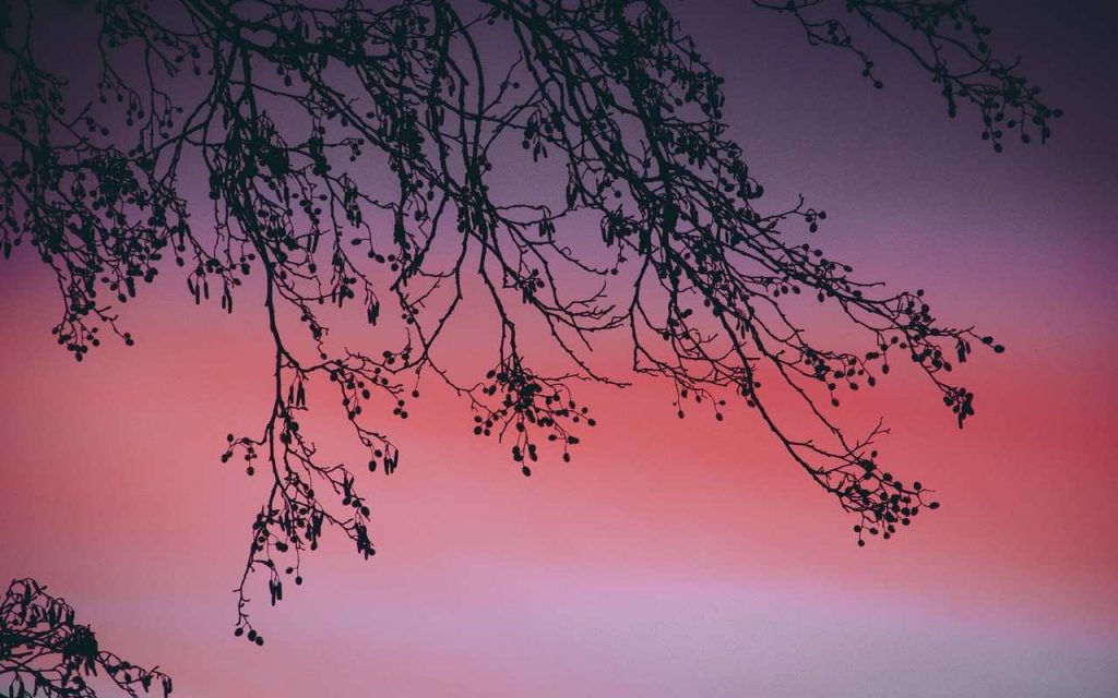 notte rosa in Toscana