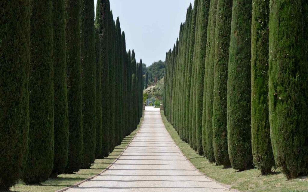 borgo dei silenzi