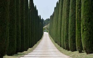 borgo dei silenzi