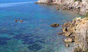 Spiaggia toscana - Lagazzettadelserchio.it