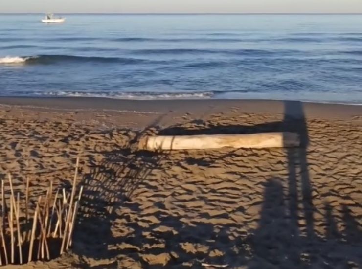 Una spiaggia dove vivere in relax 