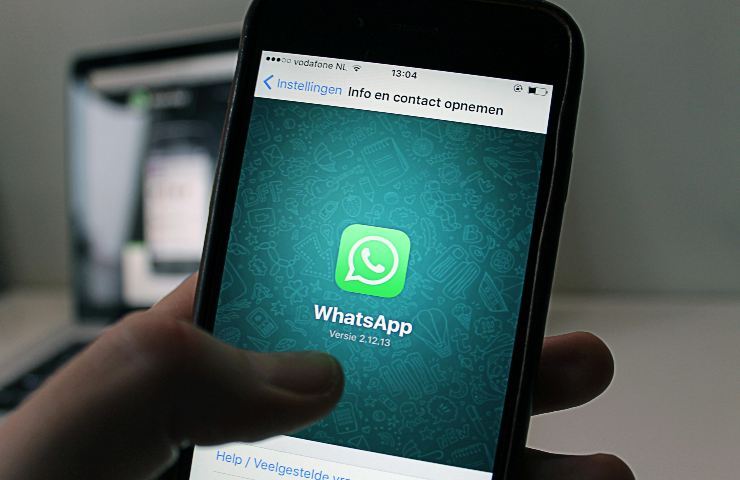 WhatsApp - Lagazzettadelserchio.it